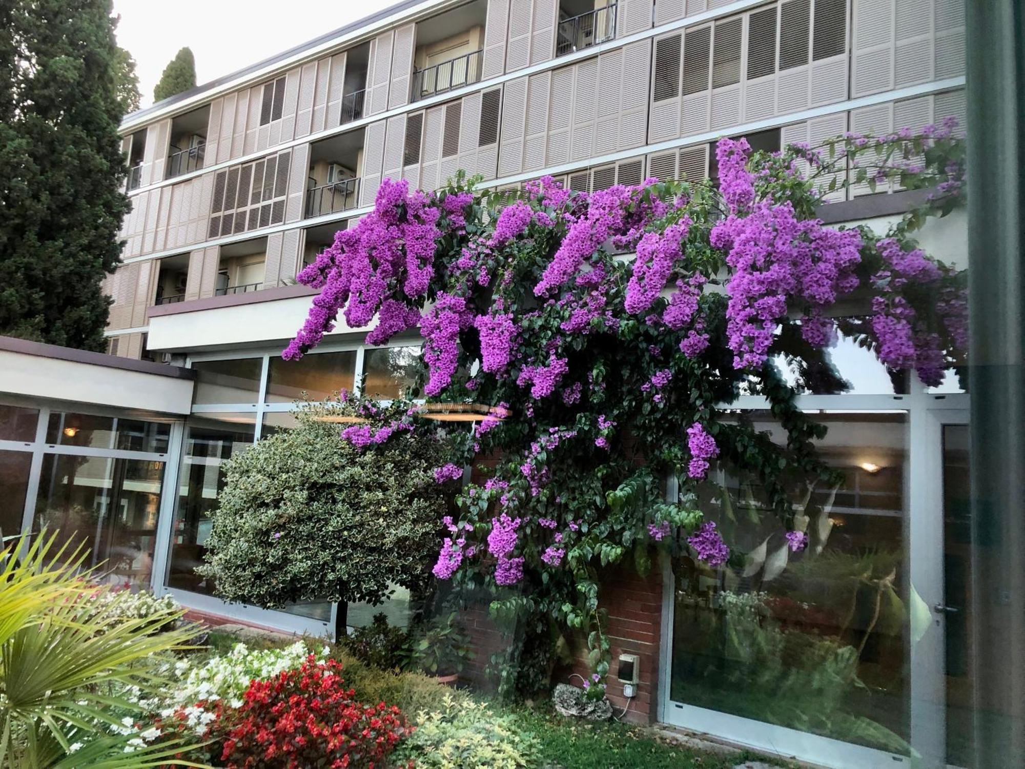 Residence Villa Alba Gardone Riviera Eksteriør bilde